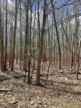5.6 Acres of Land for Sale in Cordova, Tennessee