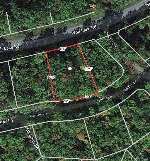 0.25 Acres of Land for Sale in Thompson Town, New York
