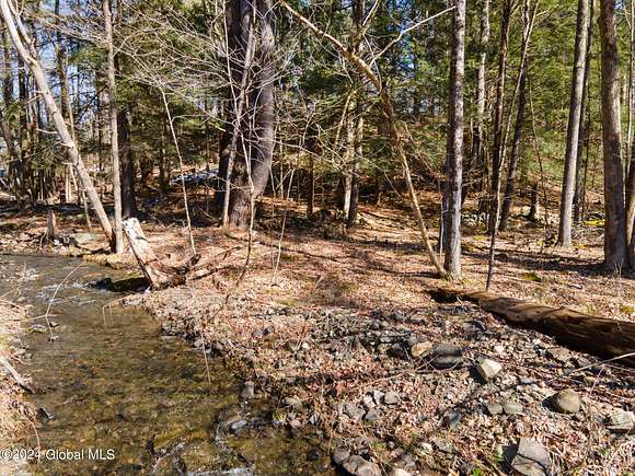 5.1 Acres of Residential Land for Sale in Nassau, New York
