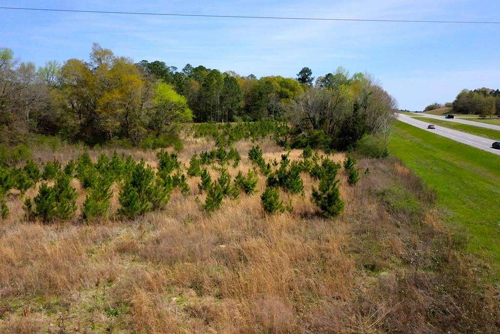 8.9 Acres of Mixed-Use Land for Sale in Ashford, Alabama