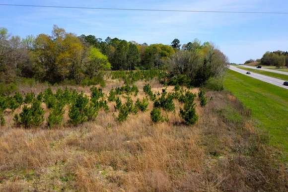 8.9 Acres of Mixed-Use Land for Sale in Ashford, Alabama