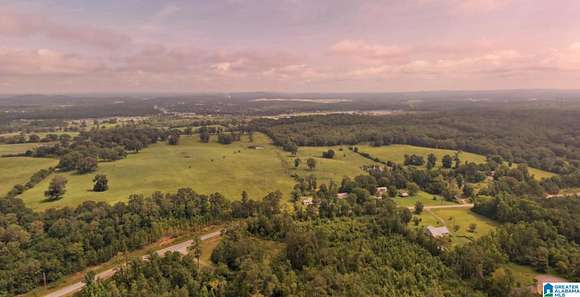 117 Acres of Agricultural Land for Sale in Lincoln, Alabama