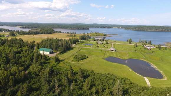 145 Acres of Recreational Land & Farm for Sale in Pembroke, Maine