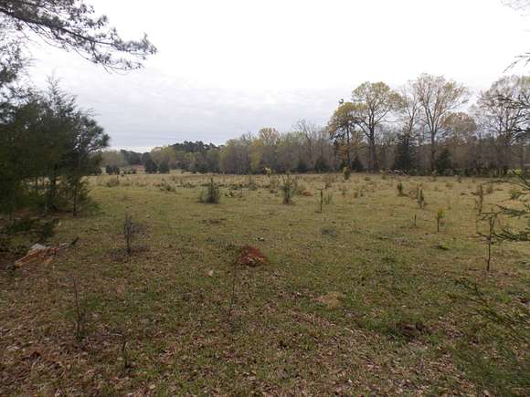 27.7 Acres of Agricultural Land for Sale in Washington, Georgia