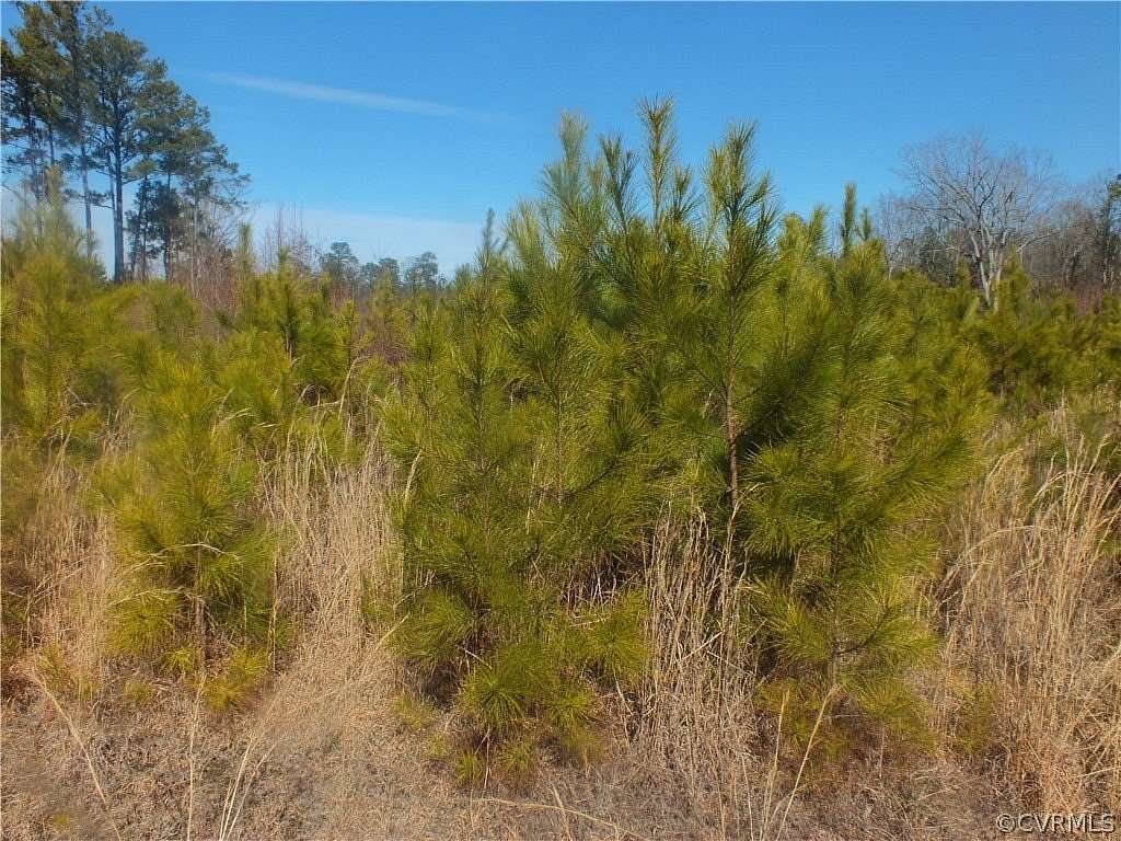 7.7 Acres of Residential Land for Sale in Dinwiddie, Virginia
