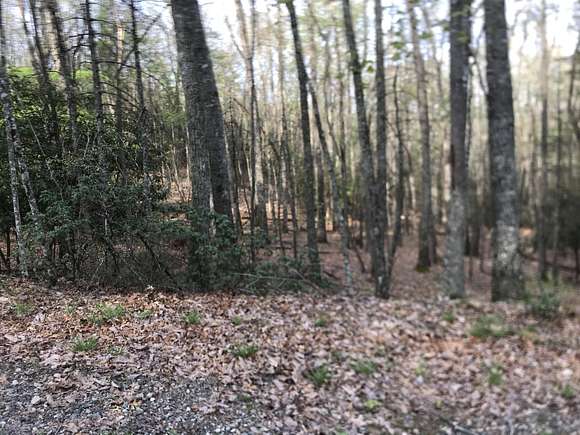 2.8 Acres of Land for Sale in Butler, Tennessee