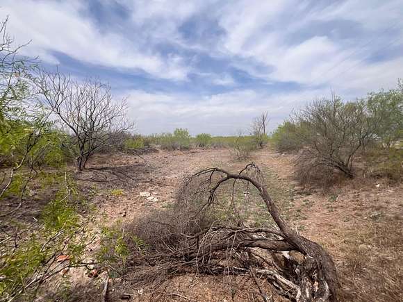 4.1 Acres of Land for Sale in Laredo, Texas