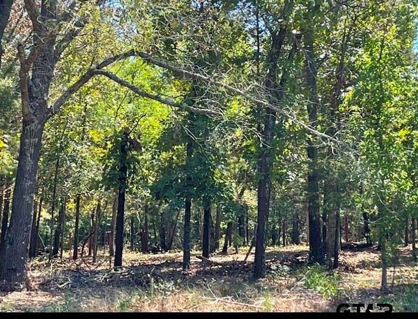 6 Acres of Residential Land for Sale in Athens, Texas