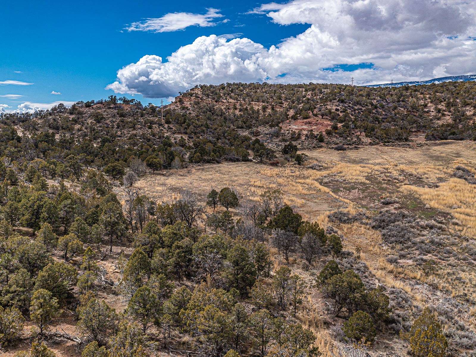 73 Acres of Recreational Land & Farm for Sale in Cedaredge, Colorado