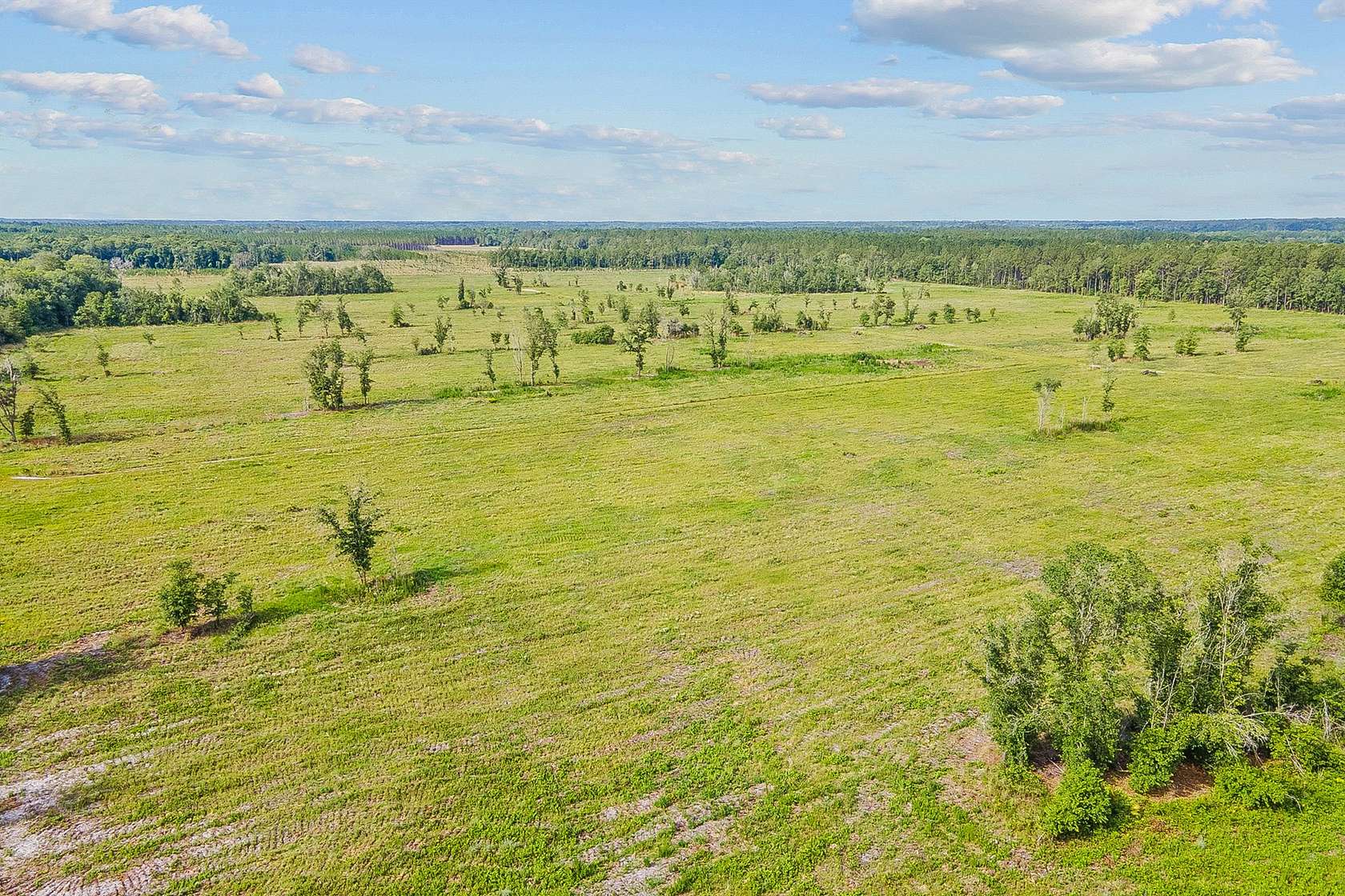 20 Acres of Recreational Land & Farm for Sale in Brooker, Florida