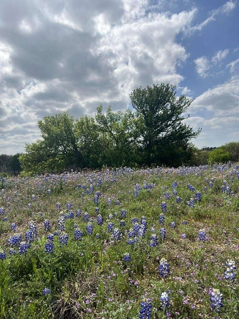 0.14 Acres of Residential Land for Sale in Horseshoe Bay, Texas
