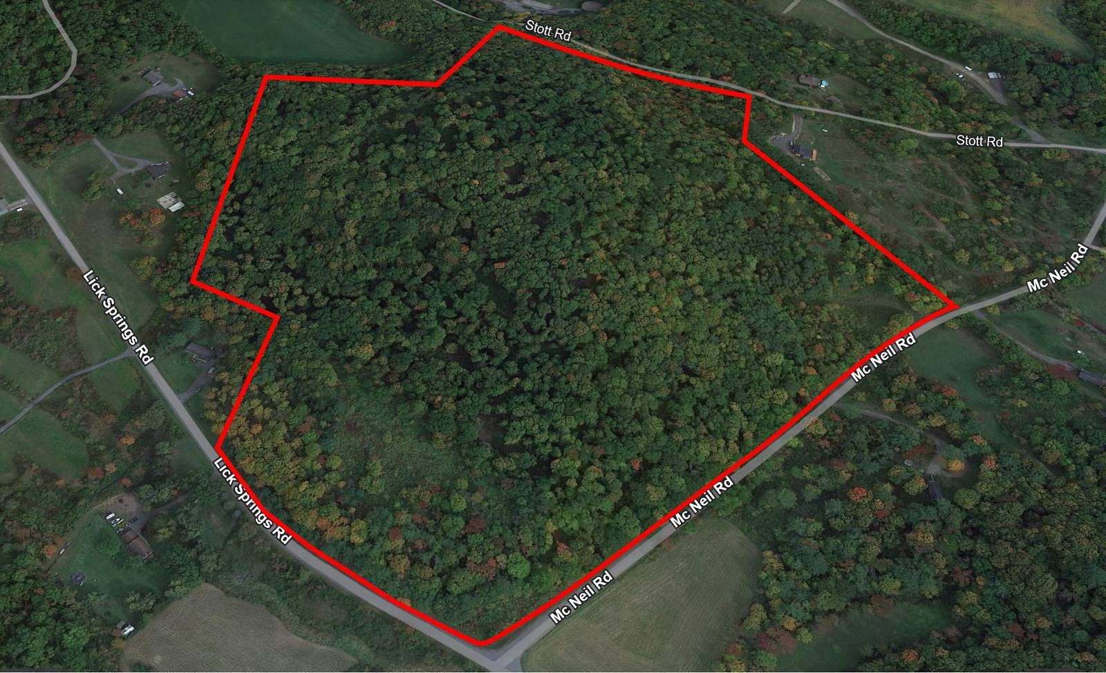 49.5 Acres of Land for Sale in Argyle, New York
