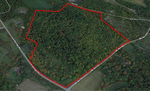 49.5 Acres of Land for Sale in Argyle, New York