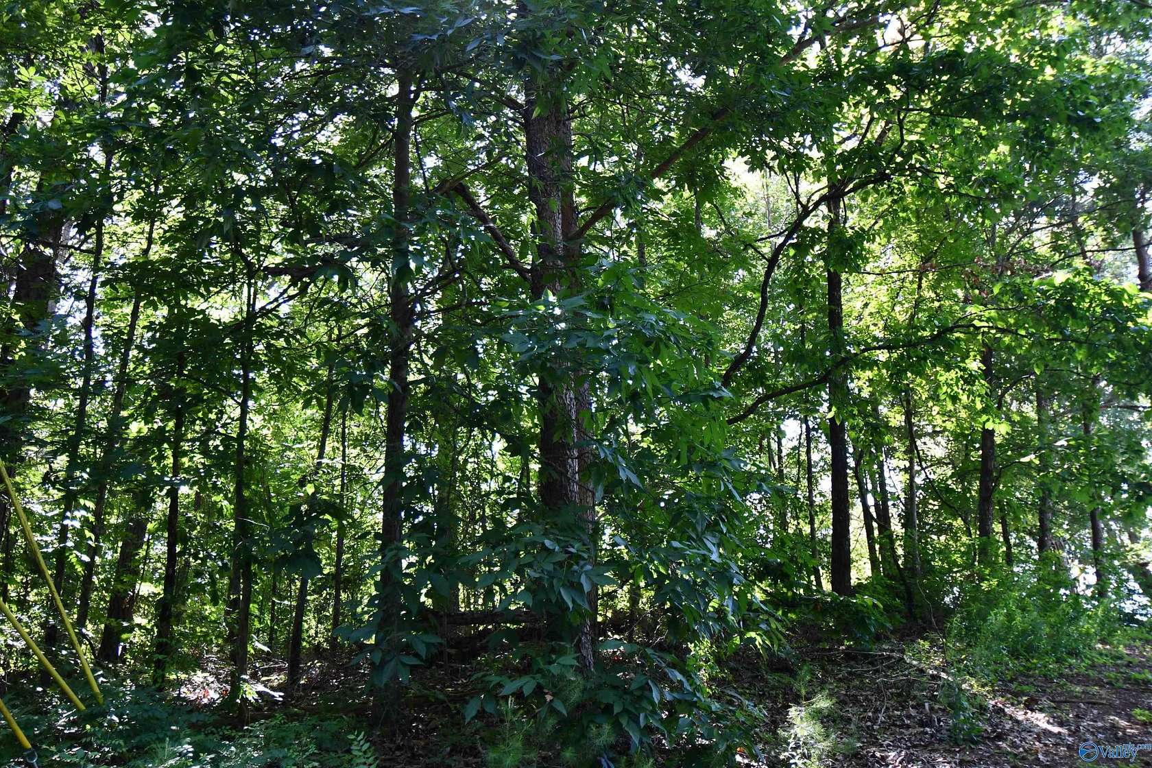 5.9 Acres of Residential Land for Sale in Gadsden, Alabama