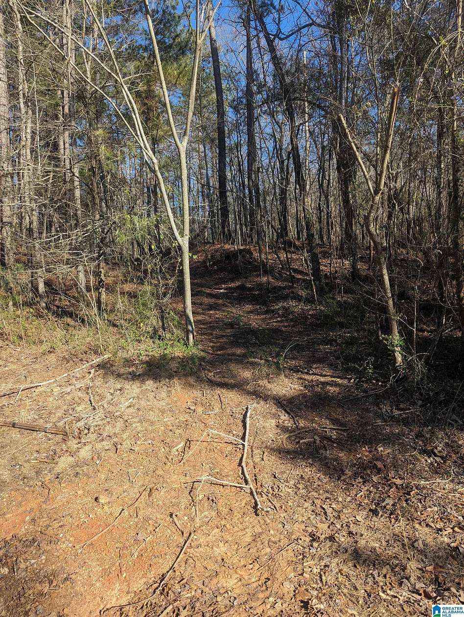 27.3 Acres of Land for Sale in McCalla, Alabama