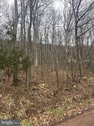 2.1 Acres of Residential Land for Sale in Paw Paw, West Virginia