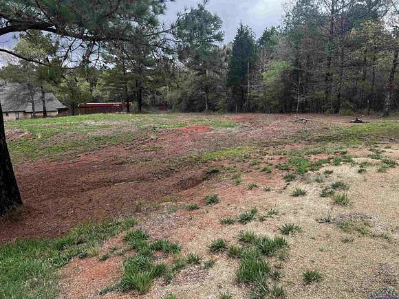 0.99 Acres of Residential Land for Sale in Gilmer, Texas