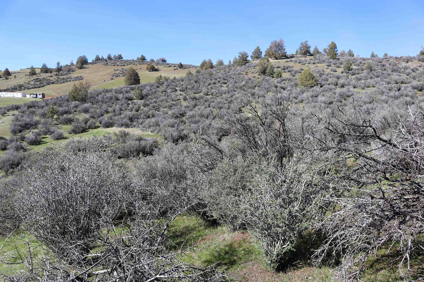 1.1 Acres of Residential Land for Sale in Hornbrook, California