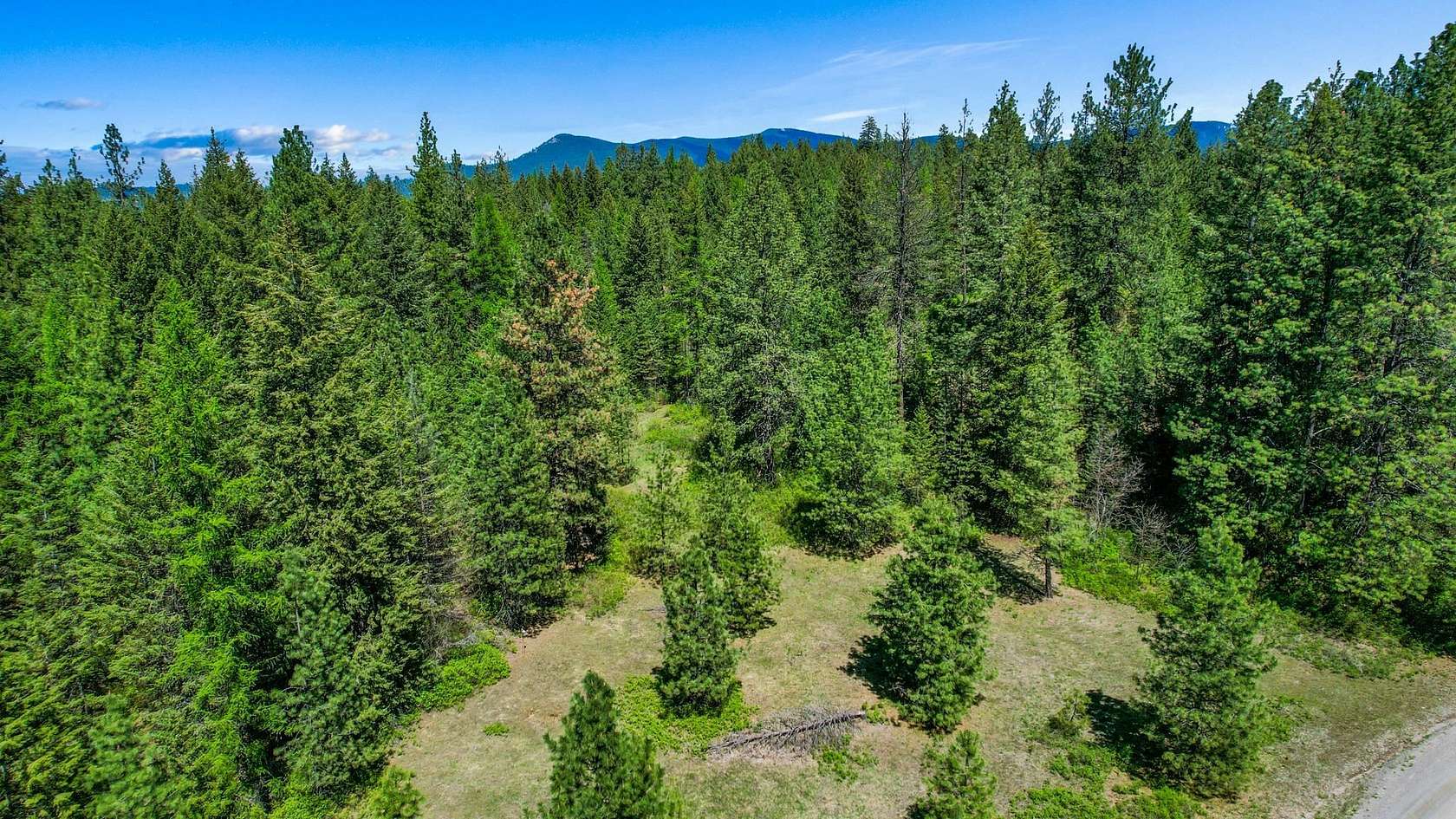 18.8 Acres of Land for Sale in Loon Lake, Washington