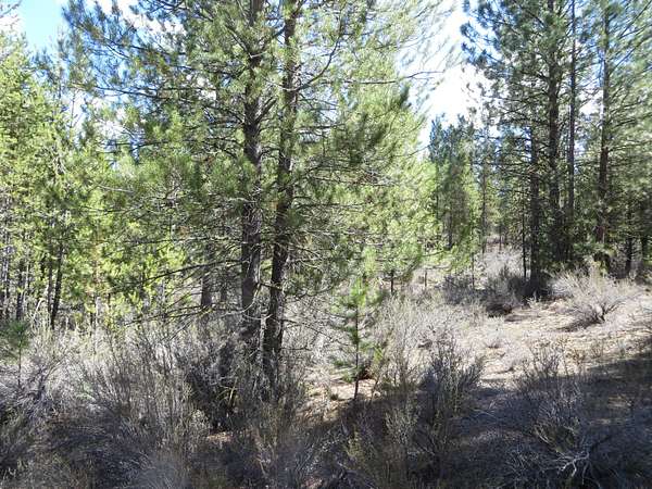 1 Acre of Residential Land for Sale in Chiloquin, Oregon