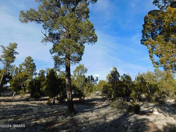 1.8 Acres of Residential Land for Sale in Heber, Arizona
