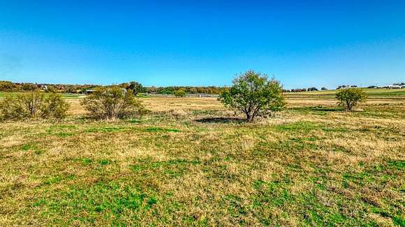 13 Acres of Agricultural Land for Sale in Weatherford, Texas
