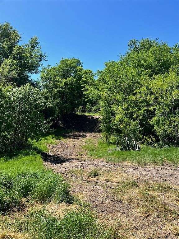 15.3 Acres of Land for Sale in Comanche, Texas