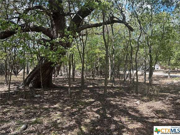 0.272 Acres of Residential Land for Sale in Morgan's Point Resort, Texas