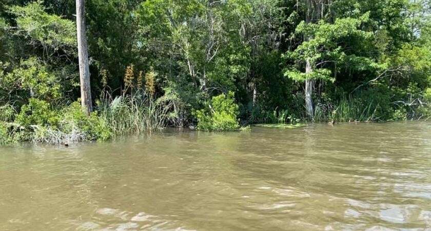 15.8 Acres of Land for Sale in Vernon, Florida