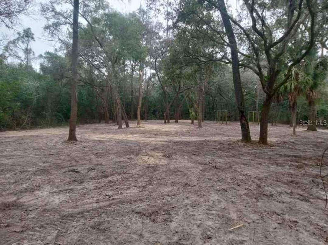 1.4 Acres of Residential Land for Sale in Trenton, Florida