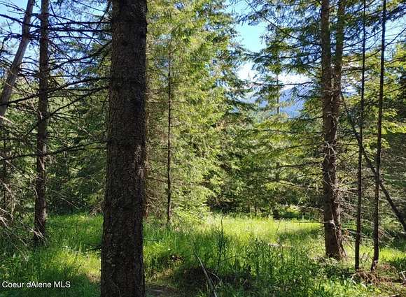 5 Acres of Land for Sale in St. Maries, Idaho