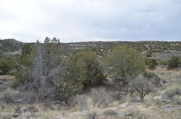 22.5 Acres of Recreational Land for Sale in Aztec, New Mexico