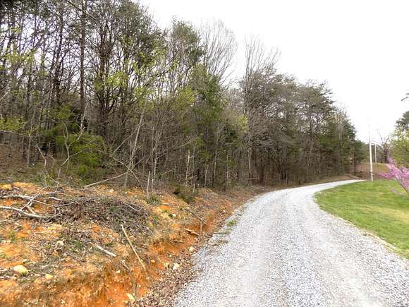 34.2 Acres of Agricultural Land for Sale in Newport, Tennessee