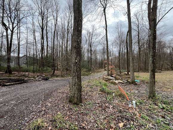 3 Acres of Land for Auction in Bruceton Mills, West Virginia