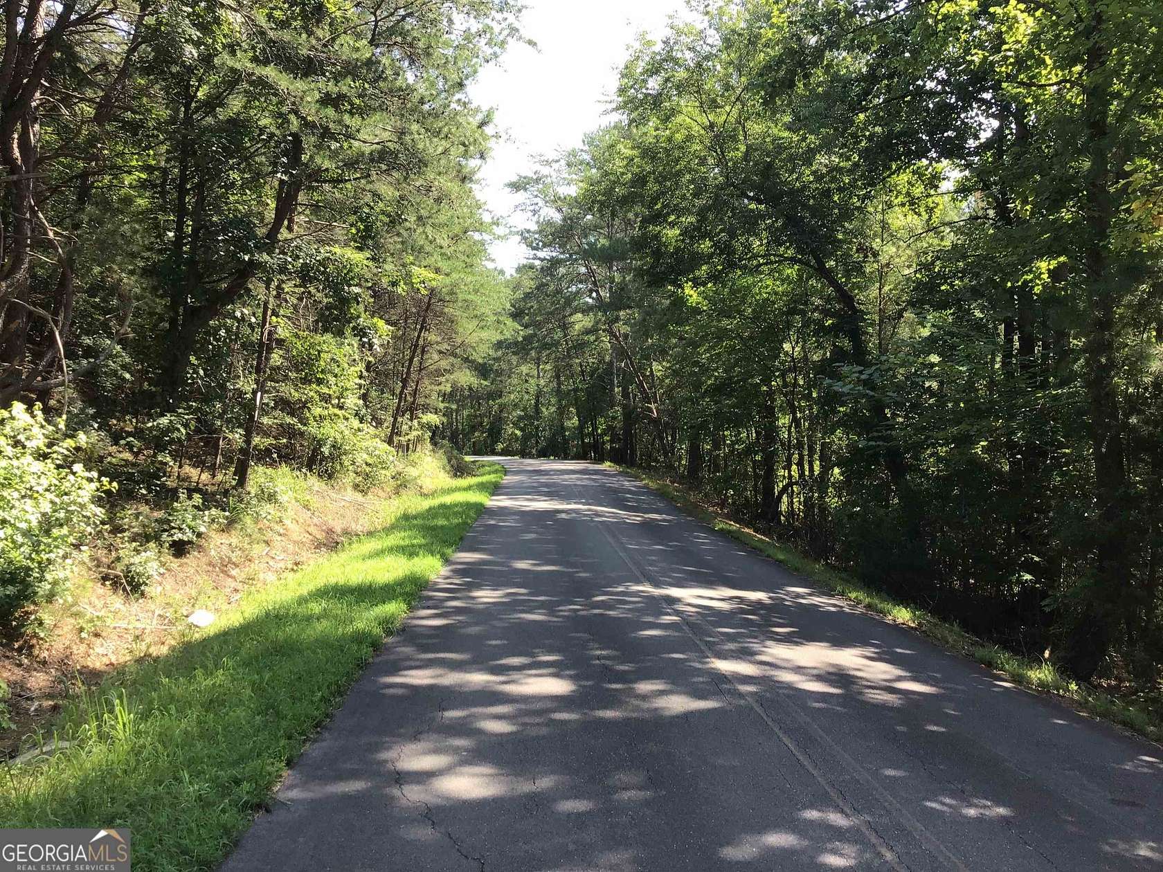 85.3 Acres of Recreational Land for Sale in Ranger, Georgia