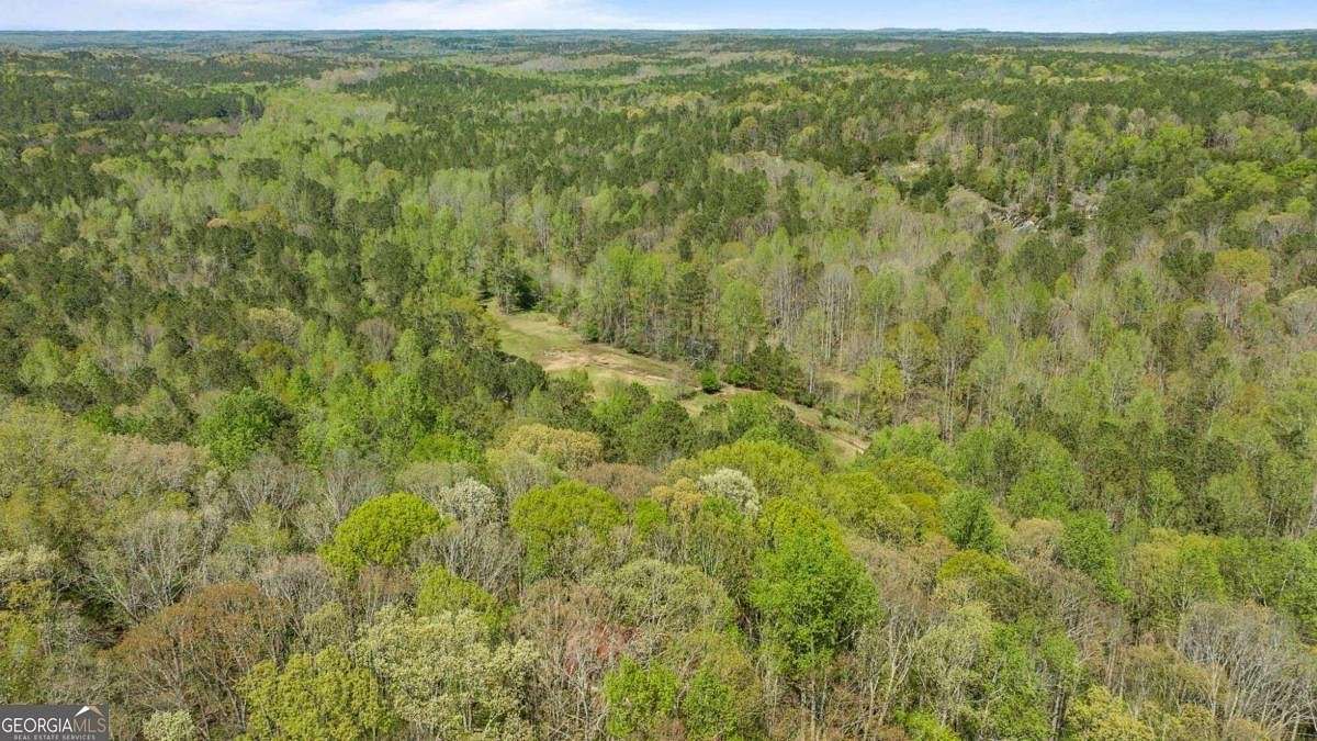 75 Acres of Recreational Land for Sale in Chattahoochee Hills, Georgia