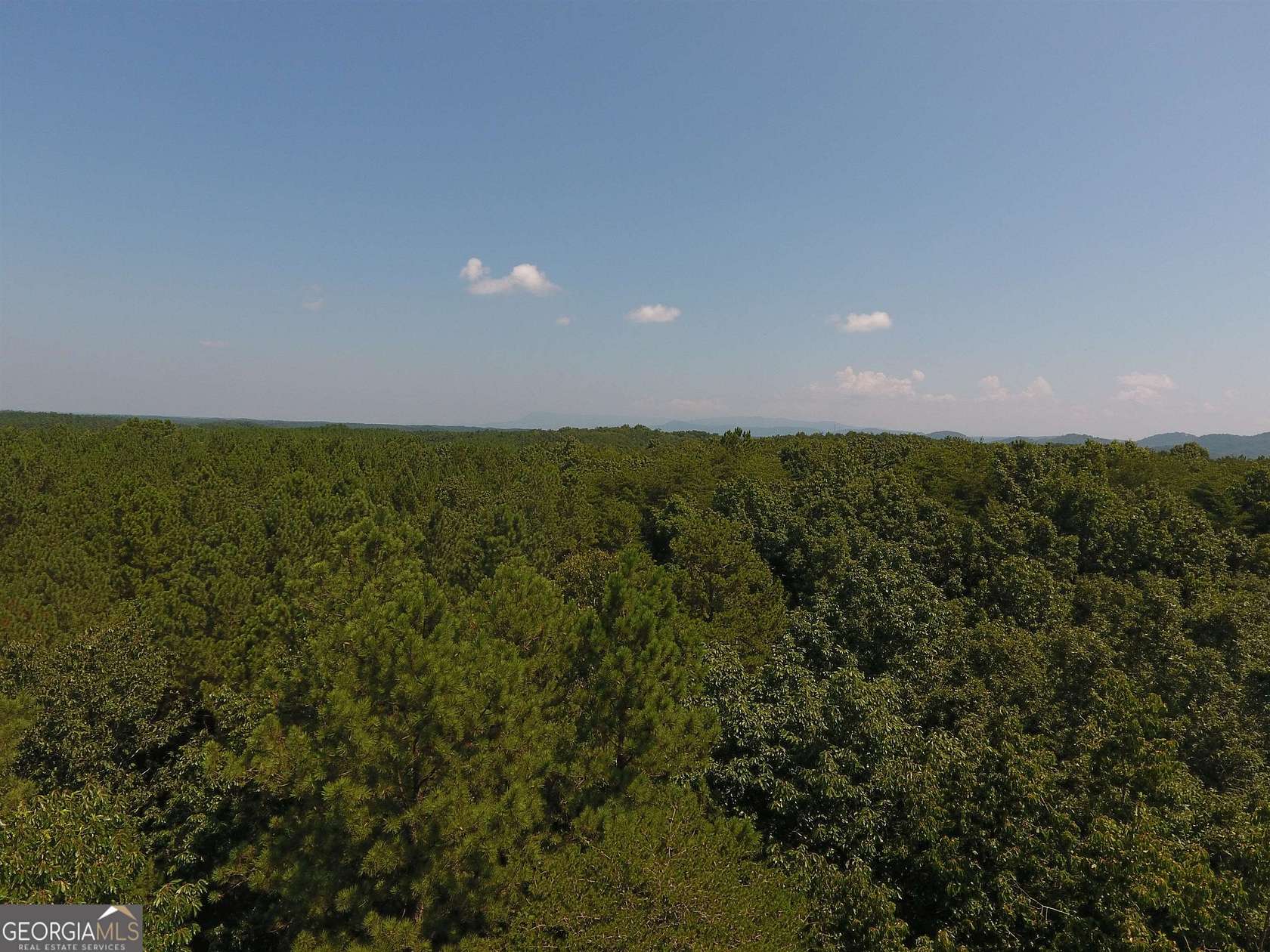 248 Acres of Recreational Land for Sale in Ranger, Georgia