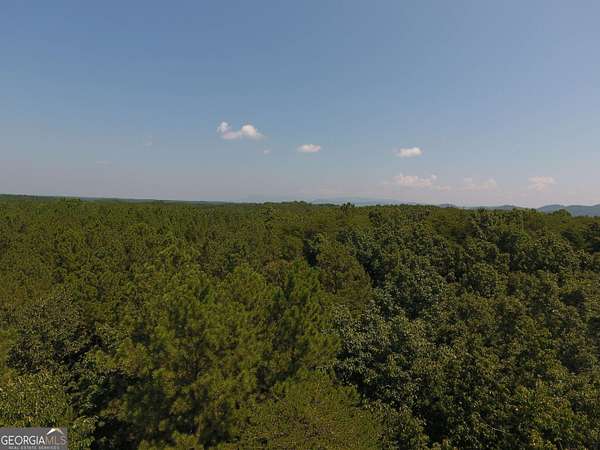 171 Acres of Recreational Land for Sale in Ranger, Georgia
