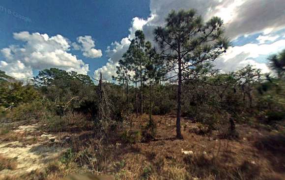 0.25 Acres of Residential Land for Sale in Lake Placid, Florida