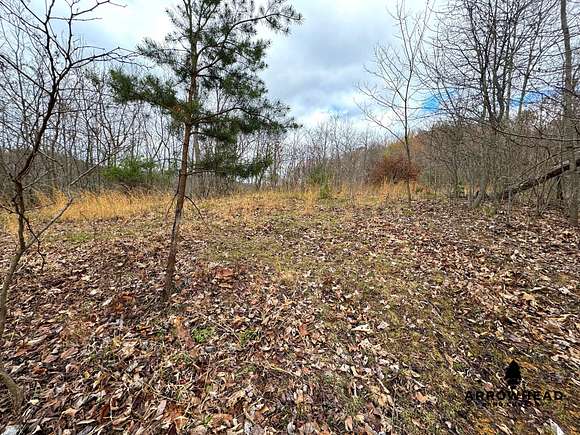 41 Acres of Recreational Land for Sale in Portsmouth, Ohio