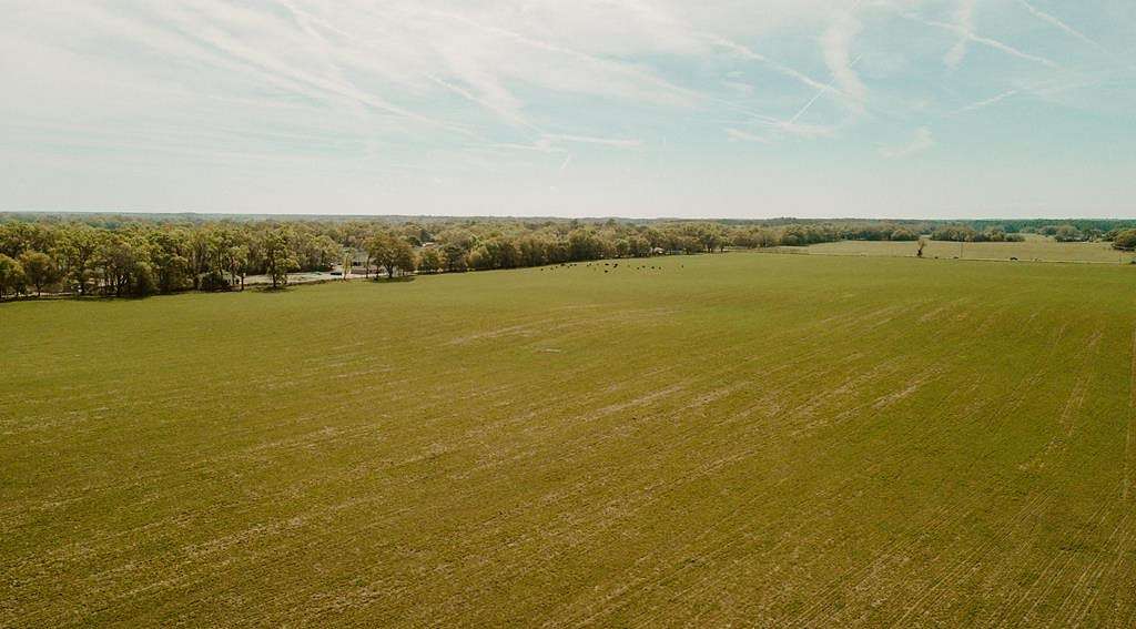 164 Acres of Land for Sale in Dunnellon, Florida