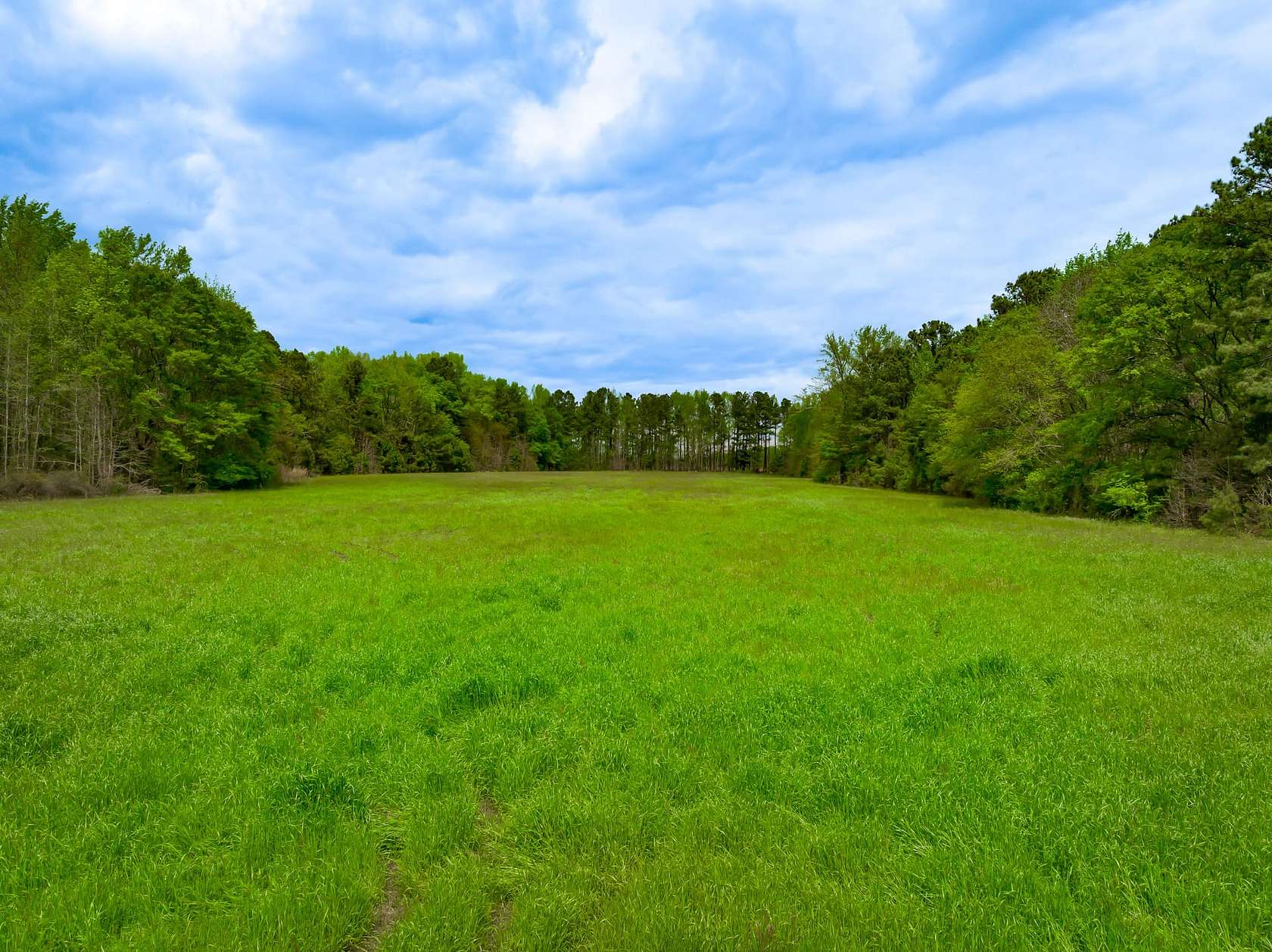 111 Acres of Recreational Land & Farm for Sale in Heath Springs, South Carolina