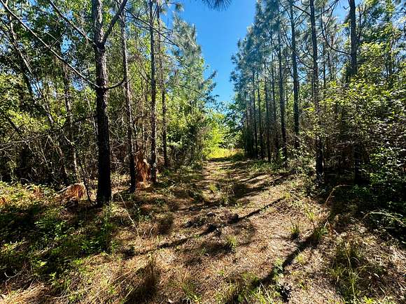 22 Acres of Recreational Land for Sale in Greenville, Florida