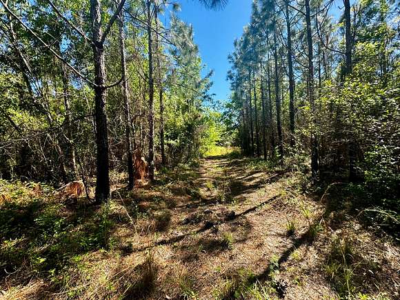 22 Acres of Recreational Land for Sale in Lamont, Florida