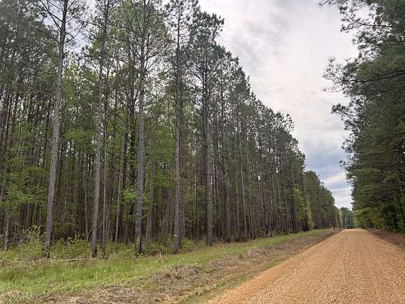 25 Acres of Land for Sale in Starkville, Mississippi