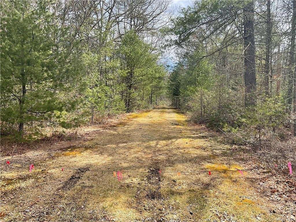 5 Acres of Residential Land for Sale in Lumberland Town, New York