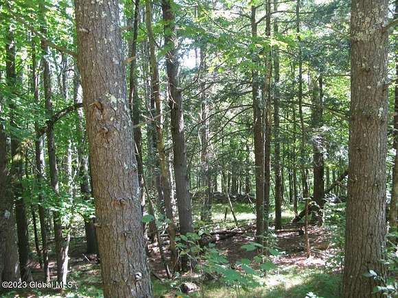 8.3 Acres of Land for Sale in Blenheim Town, New York