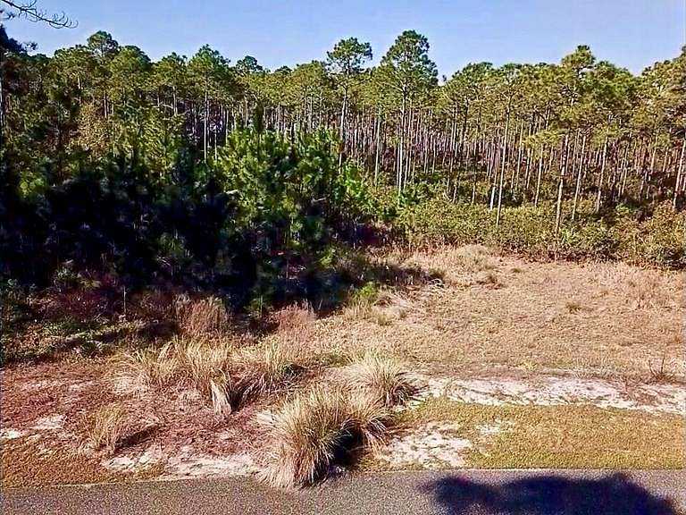 0.3 Acres of Residential Land for Sale in Saint Teresa, Florida