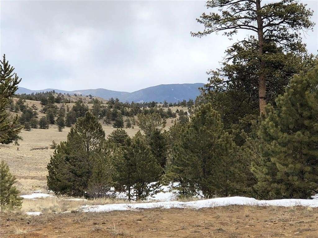 11.3 Acres of Recreational & Residential Land for Sale in Hartsel, Colorado