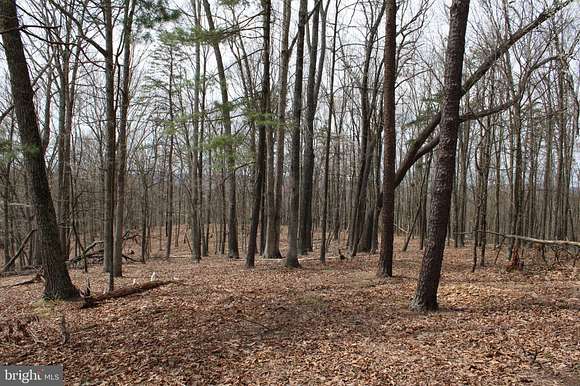 37.4 Acres of Land for Sale in Slanesville, West Virginia